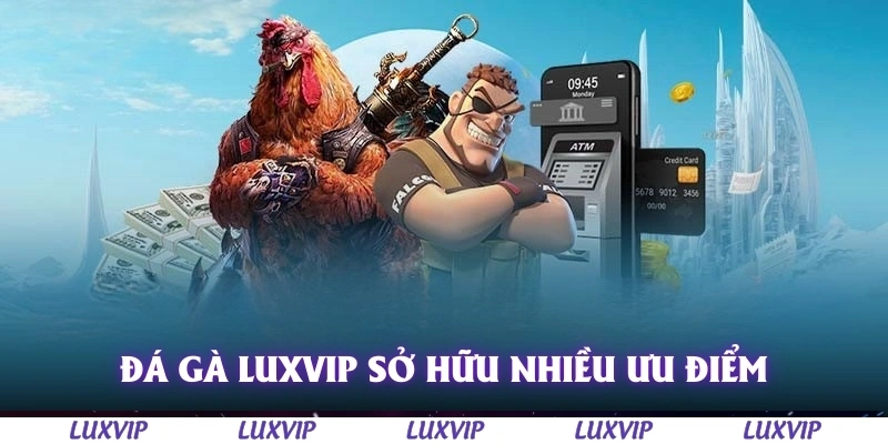 Đá Gà Luxvip - Sân Chơi Đổi Thưởng Hàng Đầu Cho Dân Chơi Năm 2025 1 Đá gà Luxvip sở hữu nhiều ưu điểm nổi bật
