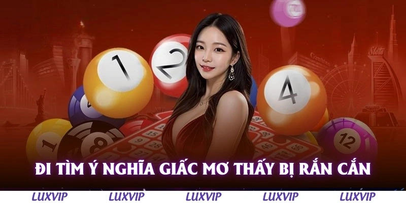 Mơ Thấy Bị Rắn Cắn Và Ý Nghĩa Của Những Giấc Chiêm Bao Thường Gặp 1 Đi tìm ý nghĩa cơ bản giấc mơ thấy bị rắn cắn