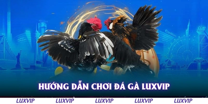Đá Gà Luxvip - Sân Chơi Đổi Thưởng Hàng Đầu Cho Dân Chơi Năm 2025 2 Hướng dẫn chơi đá gà Luxvip