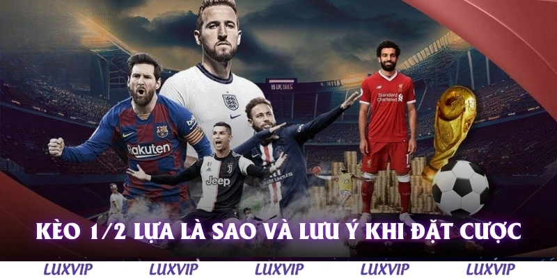 Kèo 1/2 Lựa Là Sao? Phân Tích Cách Chơi Hiệu Quả Cùng Cao Thủ Luxvip 3 Kèo 1/2 lựa là sao và lưu ý khi đặt cược