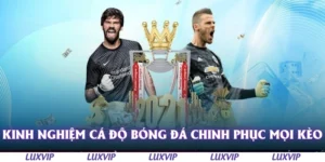 kinh nghiem ca do bong da chinh phuc moi keo