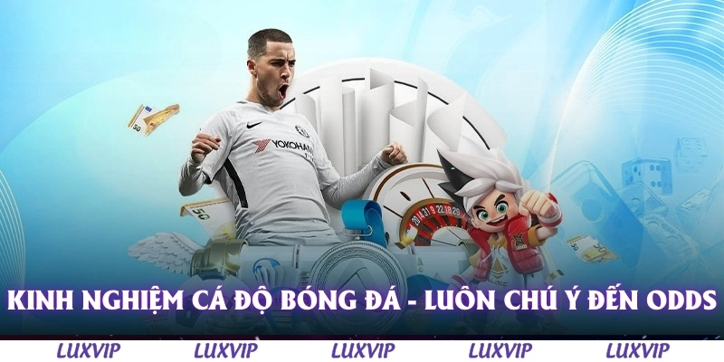 Kinh Nghiệm Cá Độ Bóng Đá - Cách Tăng Tỷ Lệ Thắng Dành Cho Người Mới 2 Kinh nghiệm cá độ bóng đá - Luôn chú ý đến odds