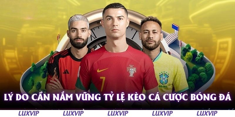 Tỷ Lệ Kèo Cá Cược Bóng Đá - Sự Hấp Dẫn Đến Từ Những Con Số Biết Nói 2 Lý do cần nắm vững tỷ lệ kèo cá cược bóng đá