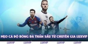 meo ca do bong da than sau tu chuyen gia luxvip