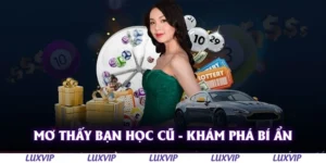 mo thay ban hoc cu kham pha bi an