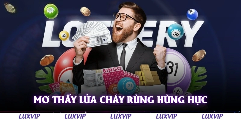 Mơ Thấy Lửa Cháy - Giấc Mộng Gây Tranh Cãi Cùng Con Số May Mắn Đi Kèm 3 Mơ thấy lửa cháy rừng hừng hực cùng con số đi kèm