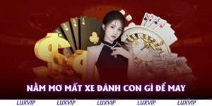 nam mo mat xe danh con gi de may
