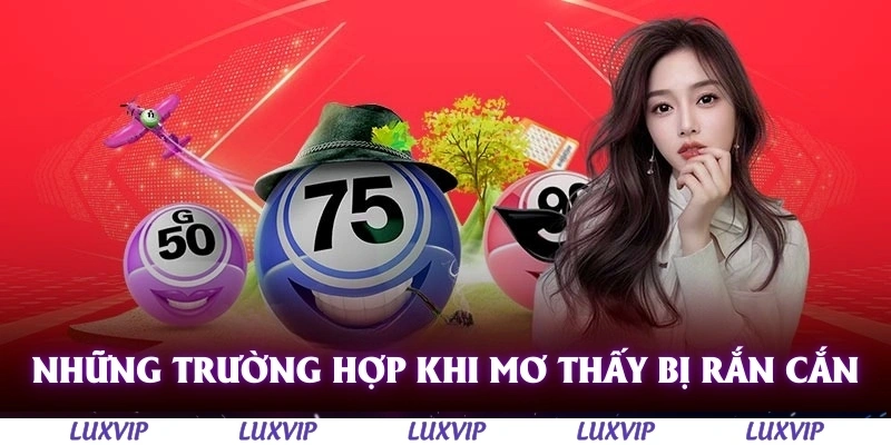 Mơ Thấy Bị Rắn Cắn Và Ý Nghĩa Của Những Giấc Chiêm Bao Thường Gặp 2 Những trường hợp thường gặp khi mơ thấy bị rắn cắn