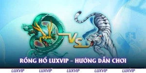 rong ho luxvip huong dan choi