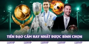 tien dao cam hay nhat duoc binh chon