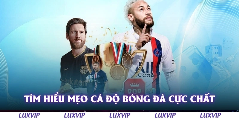 Mẹo Cá Độ Bóng Đá - Cứu Cánh Cá Cược Thể Thao Dành Cho Thành Viên Mới 2 Tìm hiểu mẹo cá độ bóng đá cực chất cực chính xác